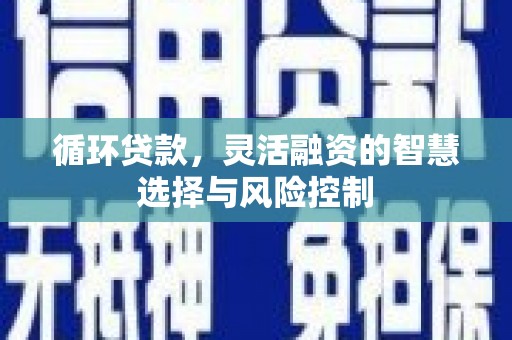 茂林循环贷款，灵活融资的智慧选择与风险控制