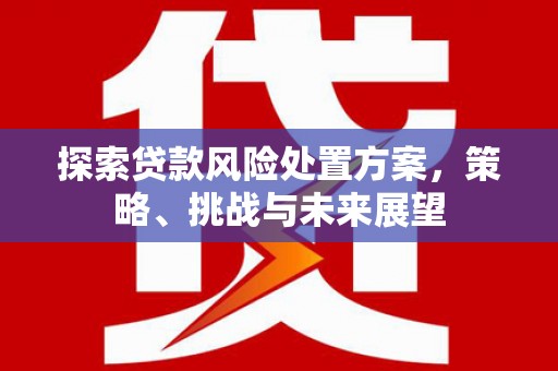 茂林探索贷款风险处置方案，策略、挑战与未来展望