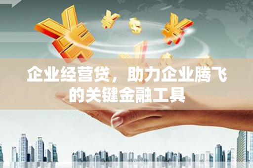 茂林企业经营贷，助力企业腾飞的关键金融工具