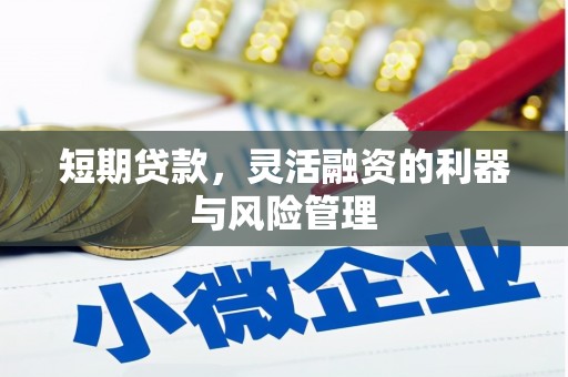 茂林短期贷款，灵活融资的利器与风险管理