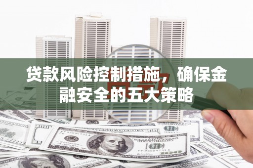 茂林贷款风险控制措施，确保金融安全的五大策略