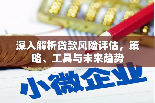 茂林深入解析贷款风险评估，策略、工具与未来趋势