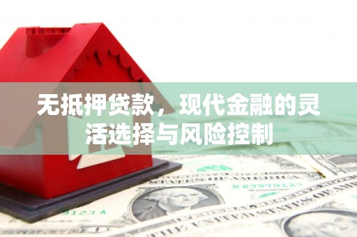 茂林无抵押贷款，现代金融的灵活选择与风险控制