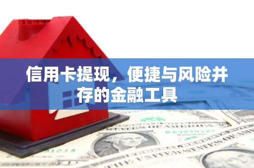茂林信用卡提现，便捷与风险并存的金融工具