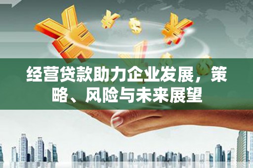 茂林经营贷款助力企业发展，策略、风险与未来展望