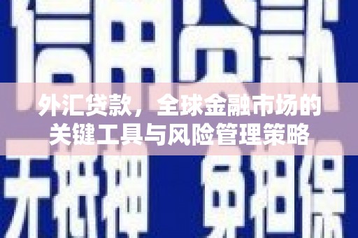 茂林外汇贷款，全球金融市场的关键工具与风险管理策略