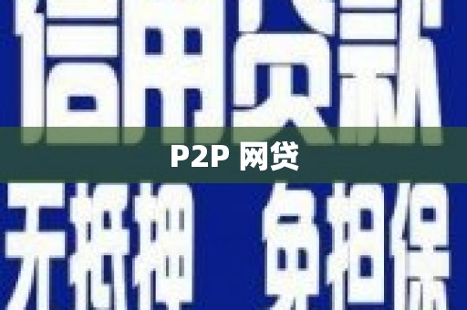 茂林P2P 网贷