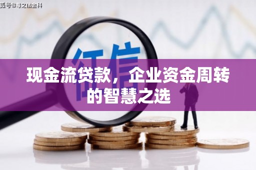 茂林现金流贷款，企业资金周转的智慧之选