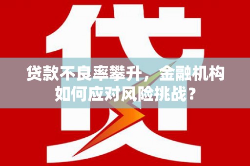 茂林贷款不良率攀升，金融机构如何应对风险挑战？