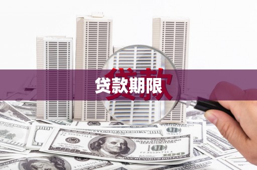 茂林贷款期限