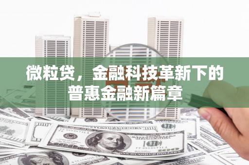 茂林微粒贷，金融科技革新下的普惠金融新篇章