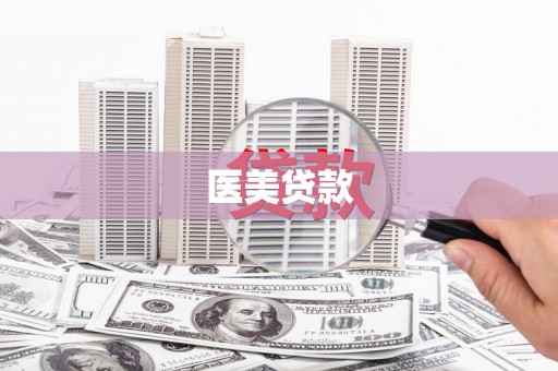 茂林医美贷款