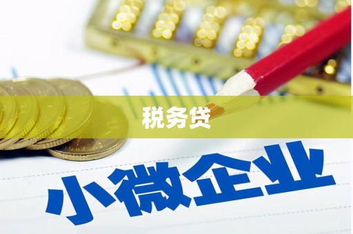 茂林税务贷