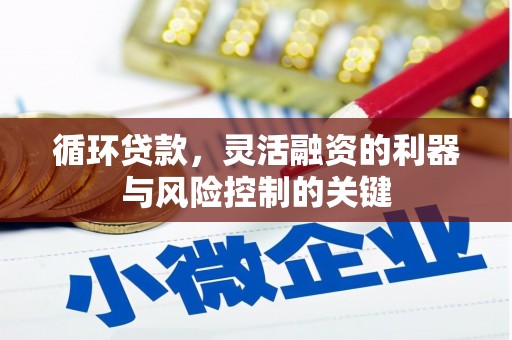 茂林循环贷款，灵活融资的利器与风险控制的关键