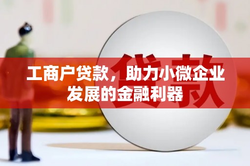 茂林工商户贷款，助力小微企业发展的金融利器