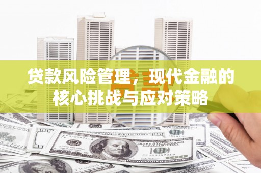 茂林贷款风险管理，现代金融的核心挑战与应对策略