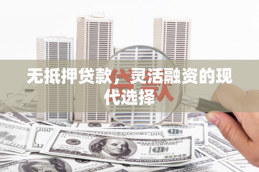 茂林无抵押贷款，灵活融资的现代选择