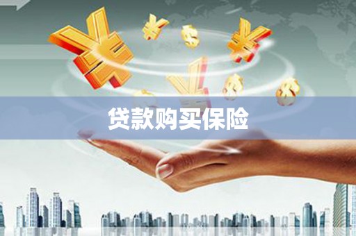 茂林贷款购买保险