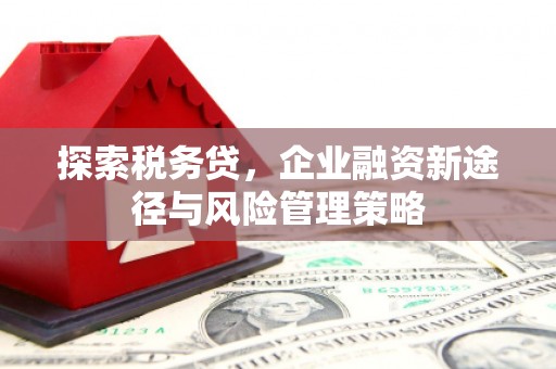 茂林探索税务贷，企业融资新途径与风险管理策略