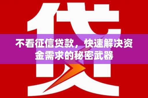 茂林不看征信贷款，快速解决资金需求的秘密武器