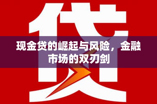 茂林现金贷的崛起与风险，金融市场的双刃剑