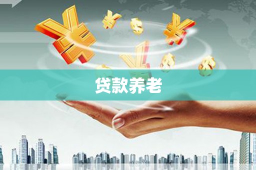 茂林贷款养老