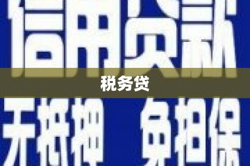 茂林税务贷