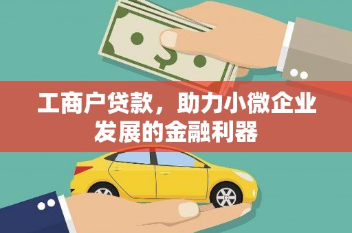 茂林工商户贷款，助力小微企业发展的金融利器