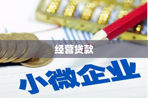 茂林经营贷款
