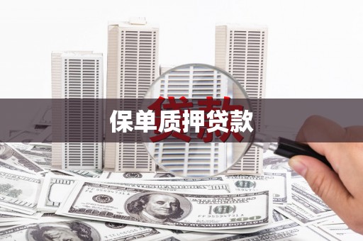 茂林保单质押贷款