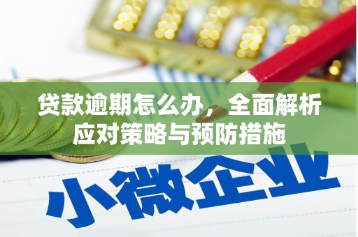茂林贷款逾期怎么办，全面解析应对策略与预防措施