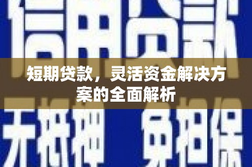 茂林短期贷款，灵活资金解决方案的全面解析