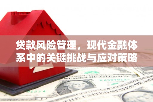 茂林贷款风险管理，现代金融体系中的关键挑战与应对策略