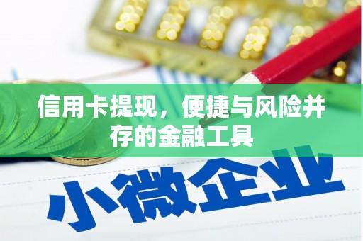 茂林信用卡提现，便捷与风险并存的金融工具