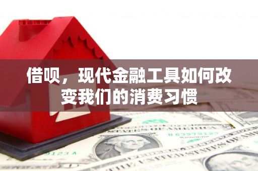 茂林借呗，现代金融工具如何改变我们的消费习惯