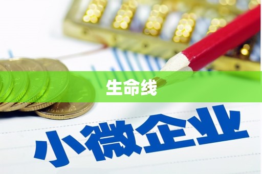 茂林生命线