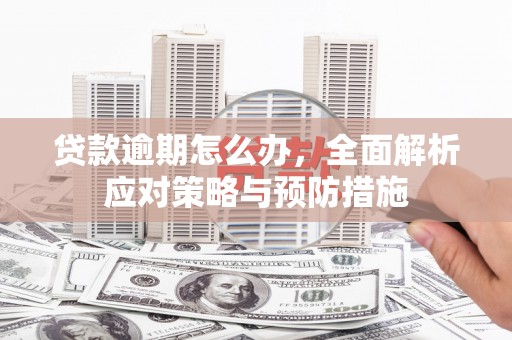 茂林贷款逾期怎么办，全面解析应对策略与预防措施