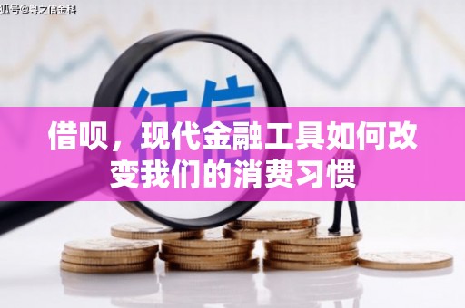 茂林借呗，现代金融工具如何改变我们的消费习惯