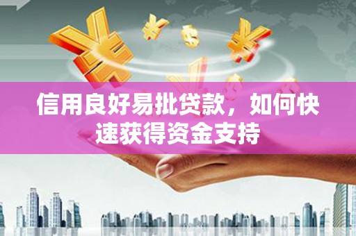 茂林信用良好易批贷款，如何快速获得资金支持
