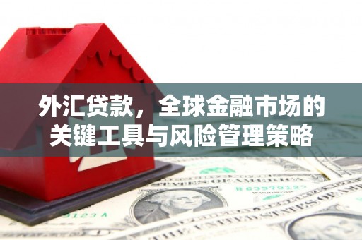 茂林外汇贷款，全球金融市场的关键工具与风险管理策略