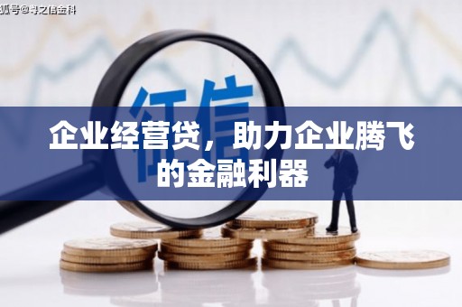 茂林企业经营贷，助力企业腾飞的金融利器