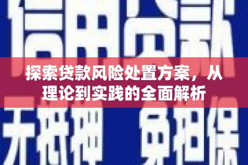 茂林探索贷款风险处置方案，从理论到实践的全面解析