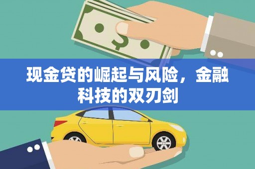 茂林现金贷的崛起与风险，金融科技的双刃剑