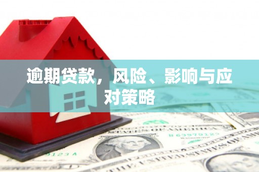 茂林逾期贷款，风险、影响与应对策略