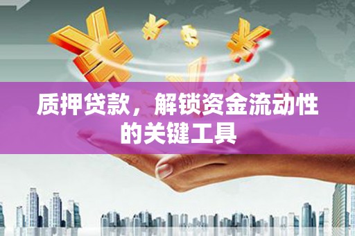 茂林质押贷款，解锁资金流动性的关键工具