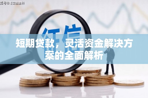 茂林短期贷款，灵活资金解决方案的全面解析