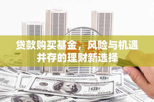 茂林贷款购买基金，风险与机遇并存的理财新选择