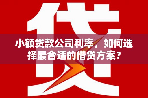 茂林小额贷款公司利率，如何选择最合适的借贷方案？