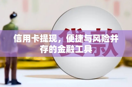 茂林信用卡提现，便捷与风险并存的金融工具