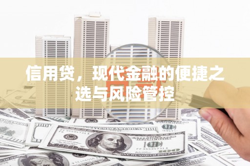 茂林信用贷，现代金融的便捷之选与风险管控